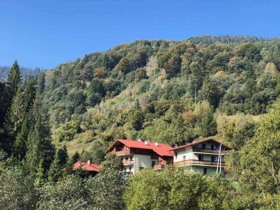 Лісова Казка Hotel Slavske Bagian luar foto